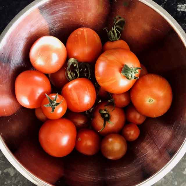 Bowl of tomatoes