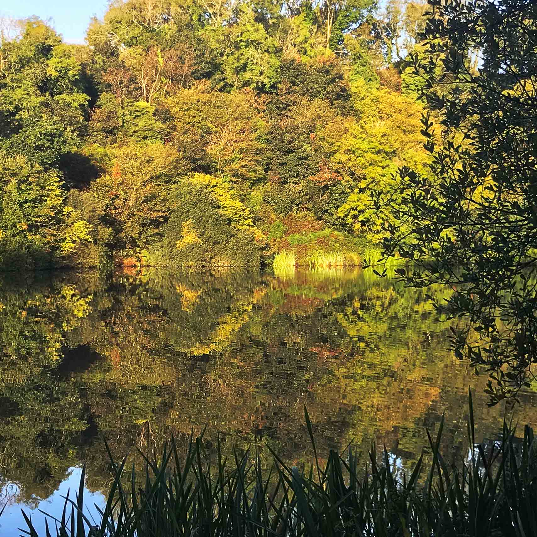 Nature Reserve at Michelmas